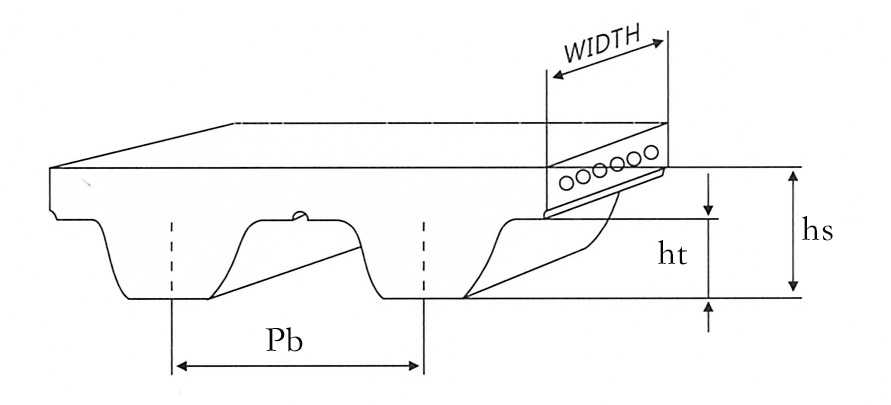 Disegno delle cinture standard