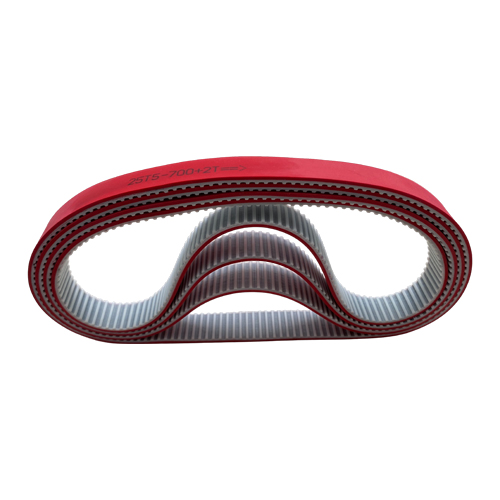 Cinghia di distribuzione 25T5-700