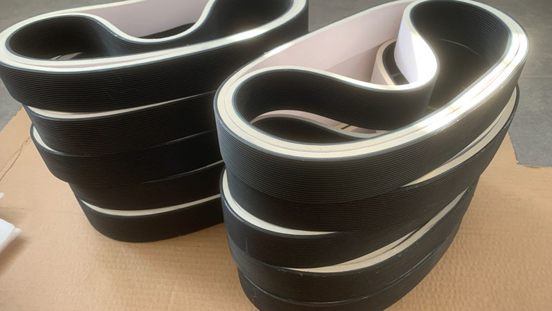 Cintura serpentina ricoperta di spugna